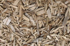 biomass boilers Derril
